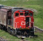 CN 9525